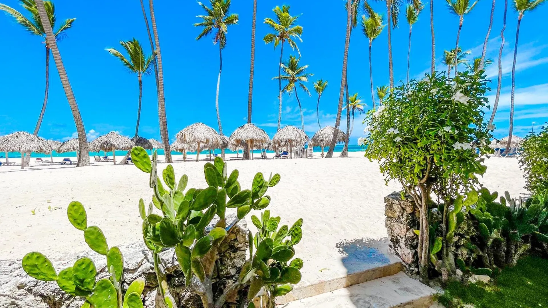 The Palms At Paradise Villas & Homes Caribbean Bavaro Beach Club & Spa Punta Cana Dominican Republic