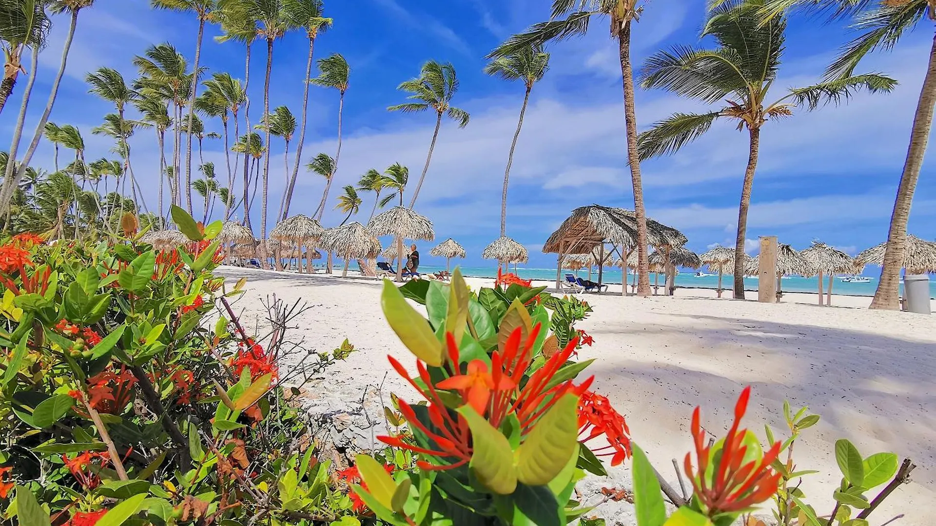 Apartment The Palms At Paradise Villas & Homes Caribbean Bavaro Beach Club & Spa Punta Cana