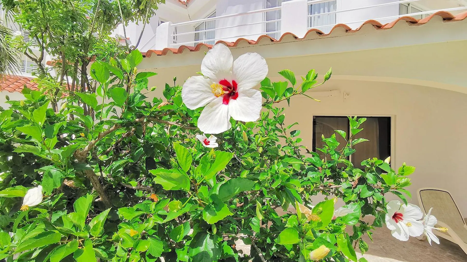 The Palms At Paradise Villas & Homes Caribbean Bavaro Beach Club & Spa Punta Cana Apartment