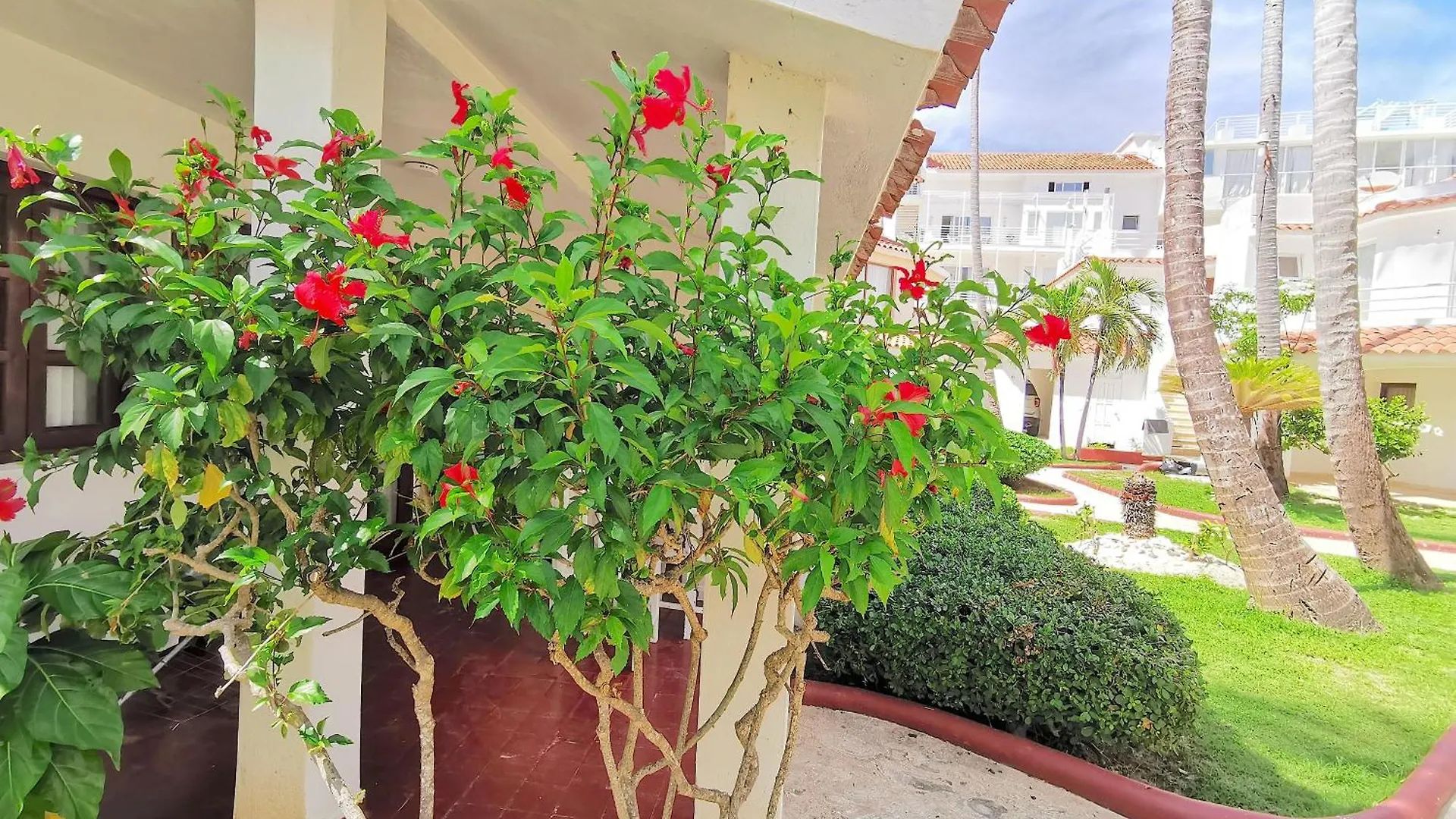 Apartment The Palms At Paradise Villas & Homes Caribbean Bavaro Beach Club & Spa Punta Cana
